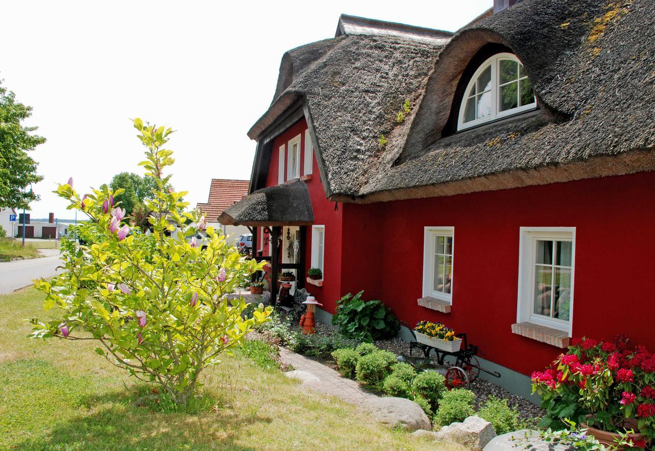 Karolas Landhus Unterm Reetdach Neu Reddevitz Exteriér fotografie